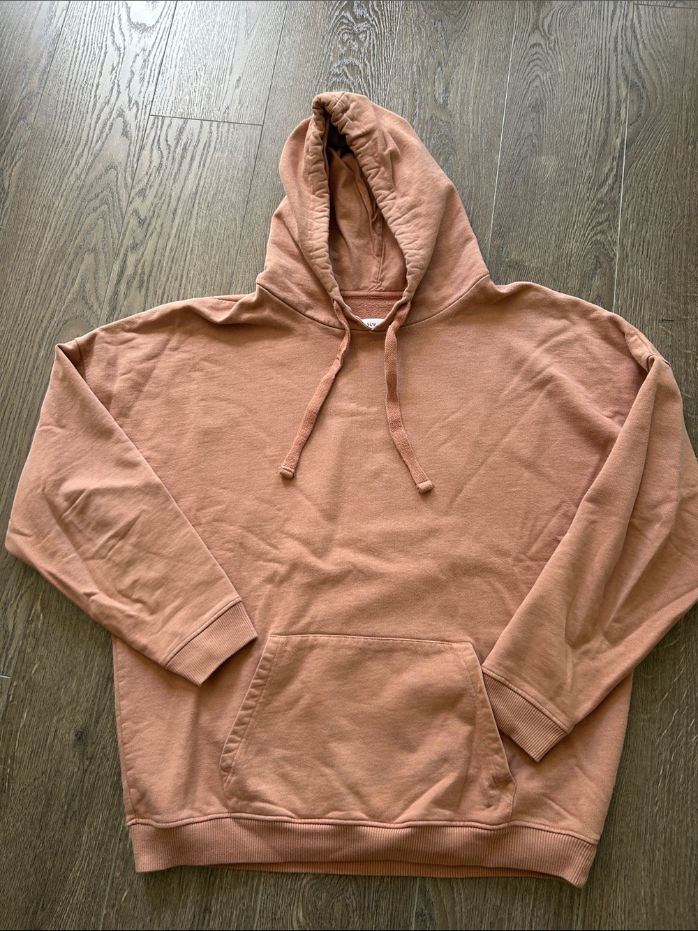 Vitality Unisex 100% Cotton Hoodie Elevated Neutral Minimalist